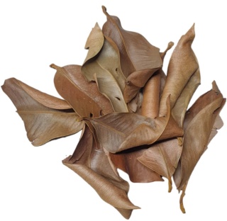 EXO PLANET Mangosteen Leaves – liście mangostinu 40g