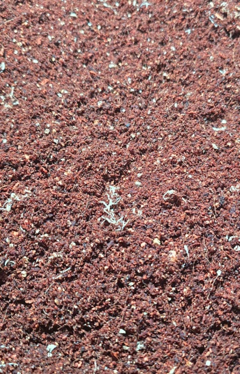EXO PLANET Tropical Spiders Substrate - gotowe podłoże dla pająków 5L