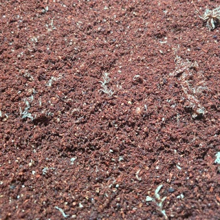 EXO PLANET Tropical Spiders Substrate - gotowe podłoże dla pająków 5L