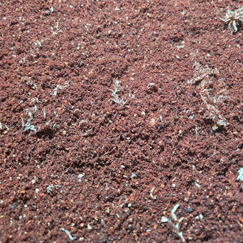 EXO PLANET Tropical Spiders Substrate - gotowe podłoże dla pająków 5L