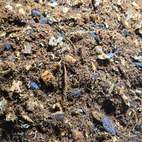 EXO PLANET Tropical Earth Substrate 5L - podłoże ziemi tropikalnej