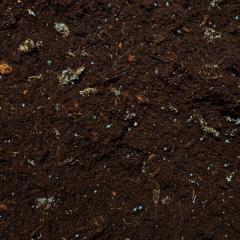 EXO PLANET Tropical Substrate Soil - podłoże tropikalne do terrarium 5L