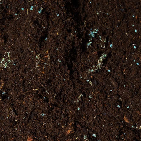 EXO PLANET Tropical Substrate Soil - podłoże tropikalne do terrarium 5L
