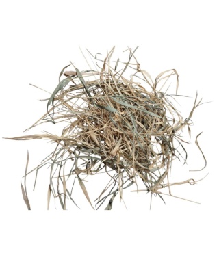 EXO PLANET Bamboo Leaves – liście bambusa 40g