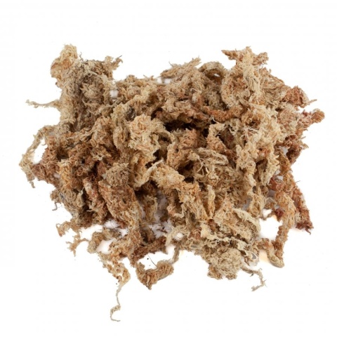 EXO PLANET Mech torfowiec Sphagnum moss 25g / 1000ml
