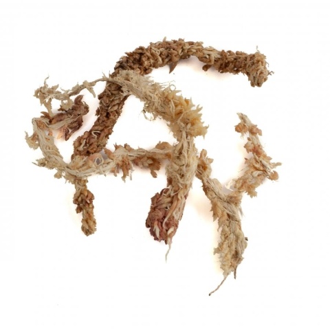 EXO PLANET Mech torfowiec Sphagnum moss 150g / 8L (brykiet)