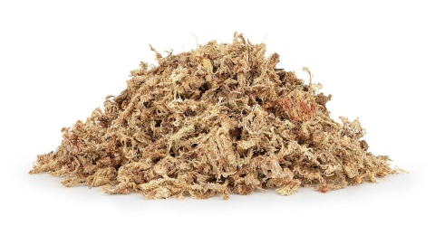 EXO PLANET Mech torfowiec Sphagnum moss 25g / 1000ml