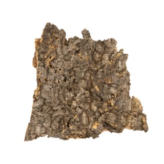 Płat korka rozmiar XL (25-35cm)