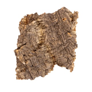 Płat korka rozmiar L (20-25cm)