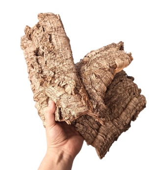 Płat korka rozmiar M (15-20cm)