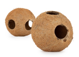 EXO PLANET Skorupa kokosa naturalna