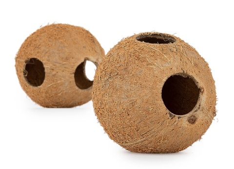 EXO PLANET Skorupa kokosa naturalna