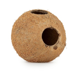 EXO PLANET Skorupa kokosa naturalna