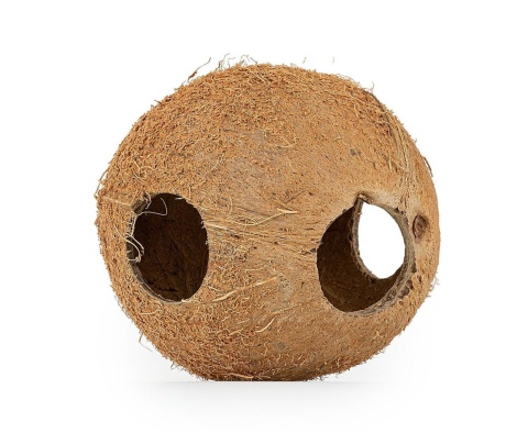 EXO PLANET Skorupa kokosa naturalna