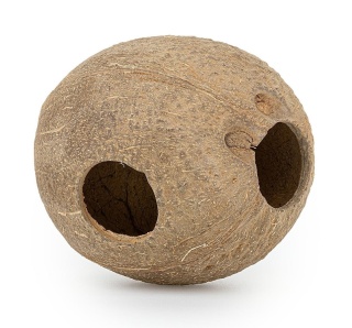 EXO PLANET Skorupa kokosa szczotkowana