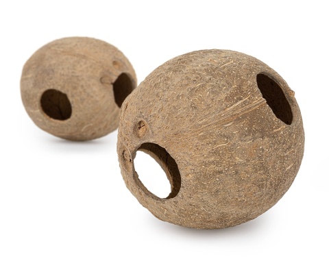 EXO PLANET Skorupa kokosa szczotkowana