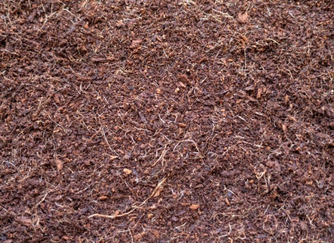 EXO PLANET Spider Substrate - gotowe podłoże dla pająków 2L
