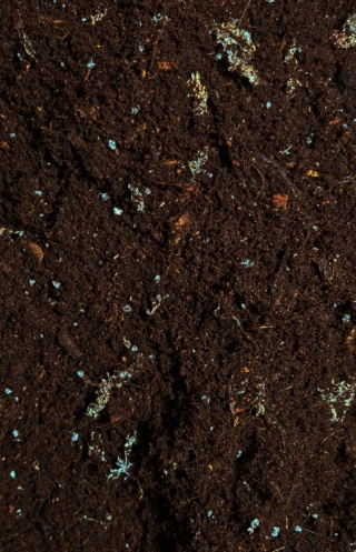 EXO PLANET Tropical Substrate Soil - podłoże tropikalne do terrarium 5L