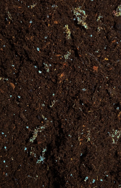EXO PLANET Tropical Substrate Soil - podłoże tropikalne do terrarium 5L