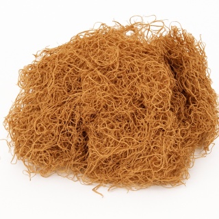 EXO PLANET Curly Moss - 40g