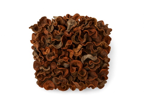 EXO PLANET Curly Pods - 25g EXO PLANET Curly Pods - 25g