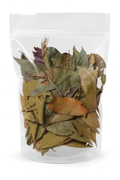 EXO PLANET Jungle Mix Leaves – liście z dżungli 40g