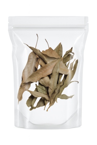 EXO PLANET Mango Leaves – liście mango 40g