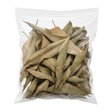 EXO PLANET Mango Leaves – liście mango 40g