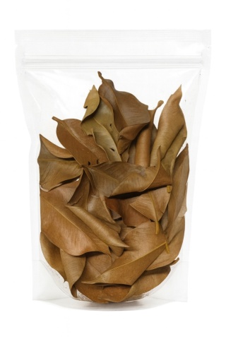 EXO PLANET Mangosteen Leaves – liście mangostinu 40g