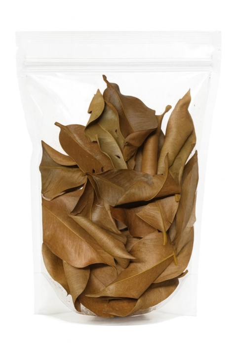 EXO PLANET Mangosteen Leaves – liście mangostinu 40g EXO PLANET Mangosteen Leaves – liście mangostinu 40g