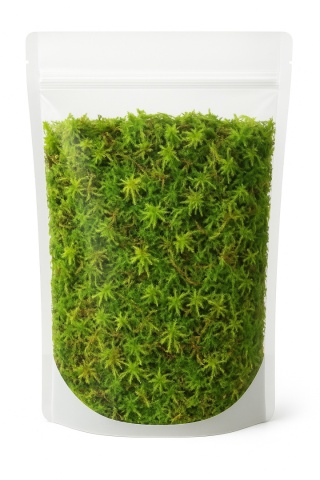 EXO PLANET Mech torfowiec Sphagnum Moss Zielony 25g