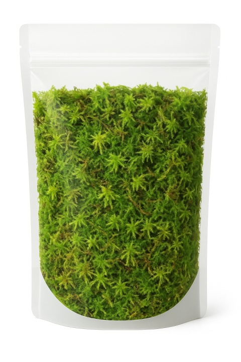 EXO PLANET Mech torfowiec Sphagnum Moss Zielony 25g EXO PLANET Mech torfowiec Sphagnum Moss Zielony 25g