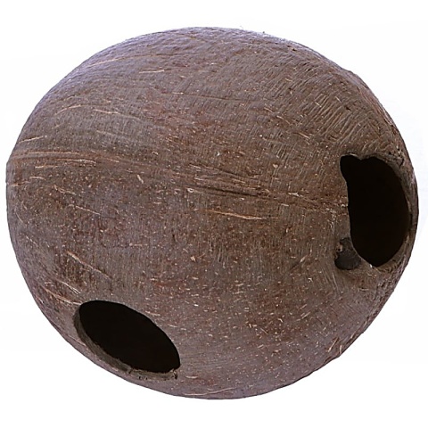 EXO PLANET Skorupa kokosa pełna szczotkowana - naturalna kryjówka