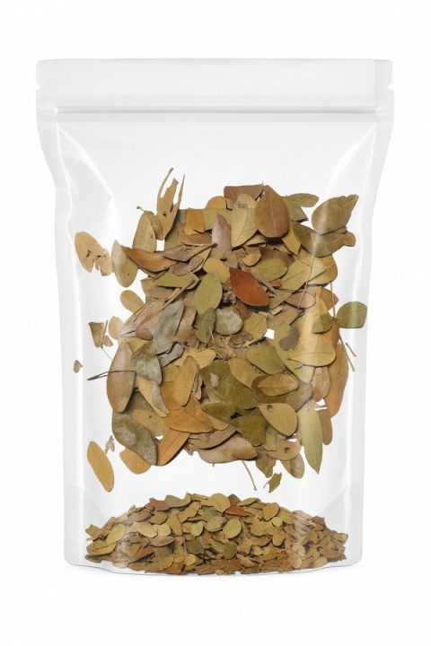 EXO PLANET Tropical Leaves - liście tropikalne 100g