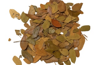 EXO PLANET Tropical Leaves - liście tropikalne 100g