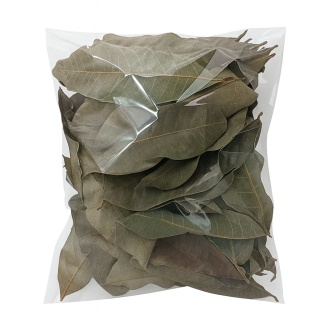 EXO PLANET Longan leaves - liście longanu