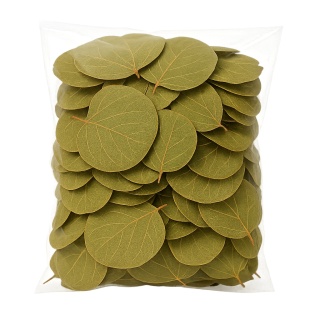 EXO PLANET Pilea Leaves - liście Pilea peperomioides 15g