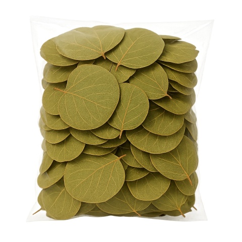 EXO PLANET Pilea Leaves - liście Pilea peperomioides 15g