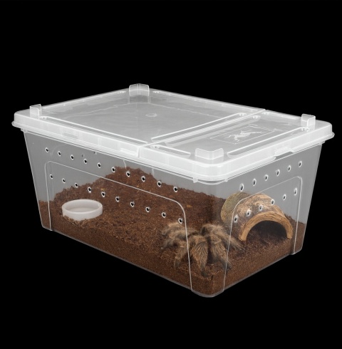 Pojemnik hodowlany Breeding Box 15 cm Pojemnik hodowlany Breeding Box 15 cm