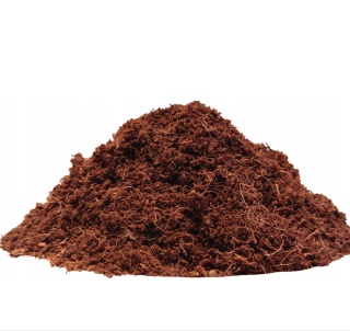 Torf kokosowy - dysk 5 x 110g
