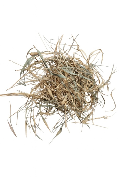 EXO PLANET Bamboo Leaves – liście bambusa 40g