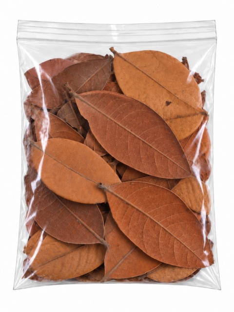 EXO PLANET Brazilian Jungle Leaves - liście 20g