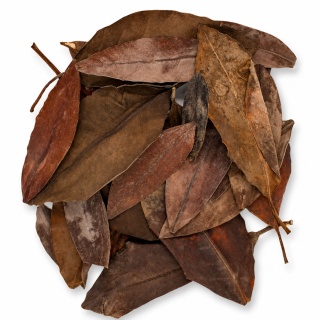 EXO PLANET Mangrove Leaves - liście mangrowca 20g