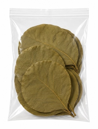EXO PLANET Cobra Leaves – liście kobra 5 szt