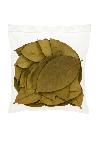 EXO PLANET Couro Leaves - liście tropikalne Couro 20g