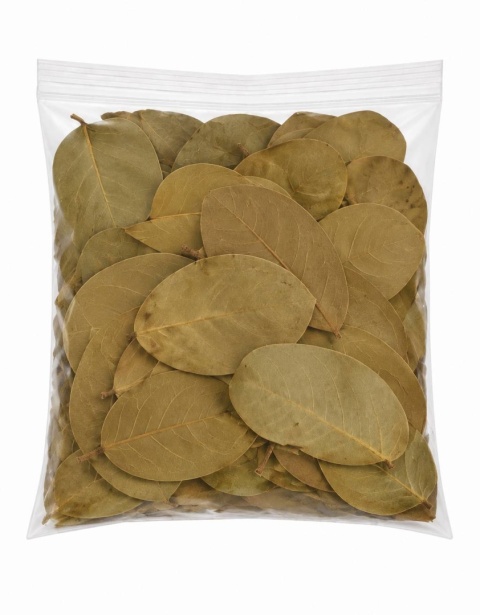 EXO PLANET Jatoba Jungle Leaves 12-15cm - Liście Jatoba 20g