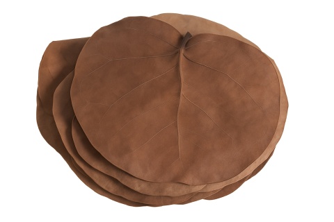 EXO PLANET Hoya Leaves 14-16cm - liście drzewa Hoja 5 szt.