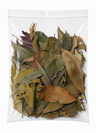 EXO PLANET Jungle Mix Leaves – liście z dżungli 20g