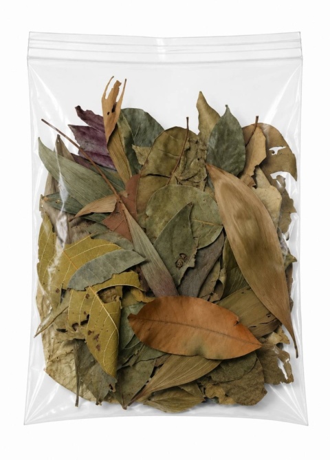 EXO PLANET Jungle Mix Leaves – liście z dżungli 20g