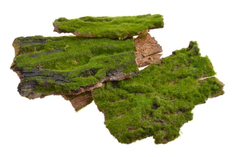 EXO PLANET Kawałki kory pokryte mchem - średnie 120g